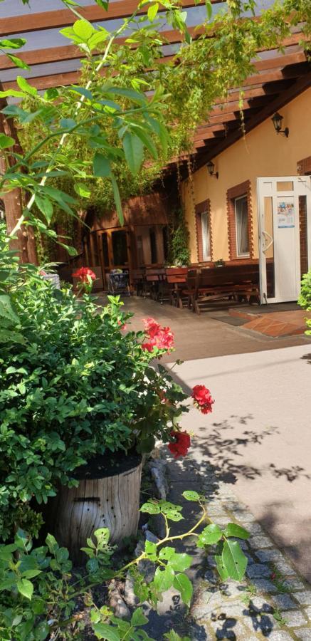 Siedlisko Pod Debem Hotel Wilimy Exterior photo